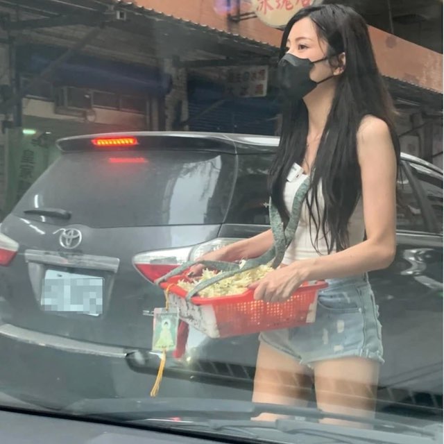 提姆正妹